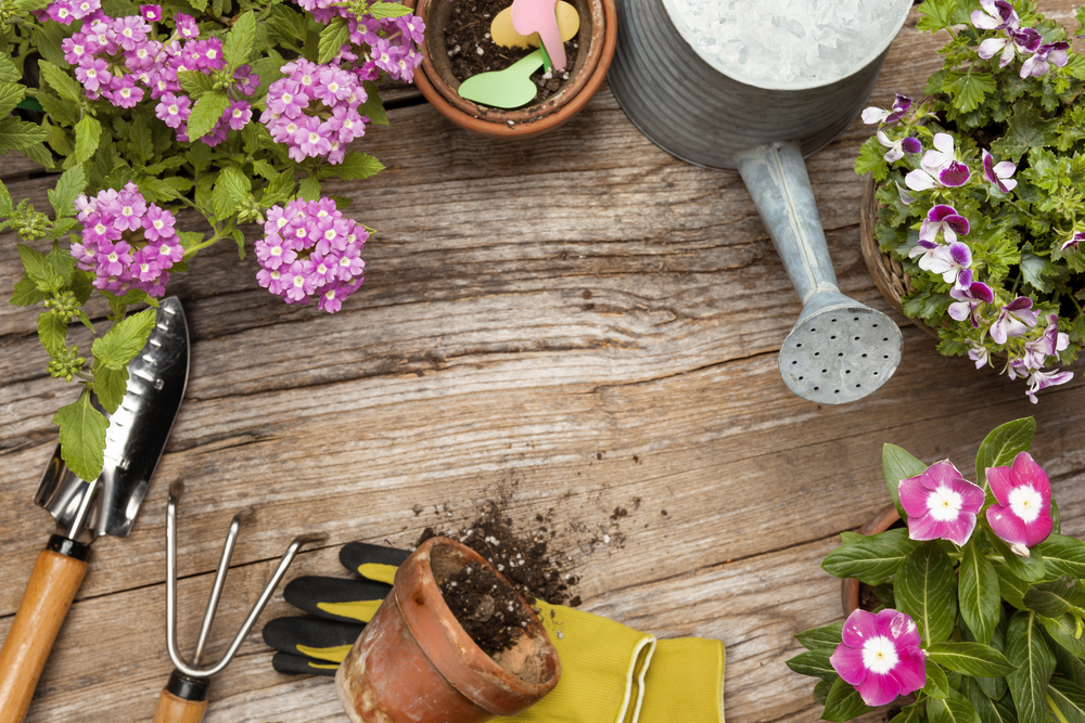 fare orto per mangiare più sano