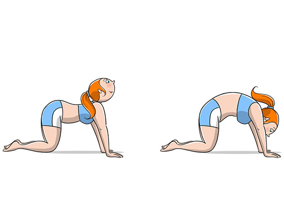 Le posizioni yoga per tutti, Il gatto che si stira per allungare e estendere la schiena