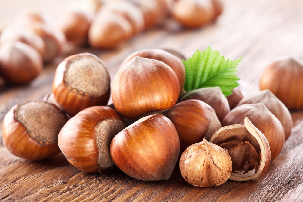 Nocciole. La frutta secca ti ricarica di energia