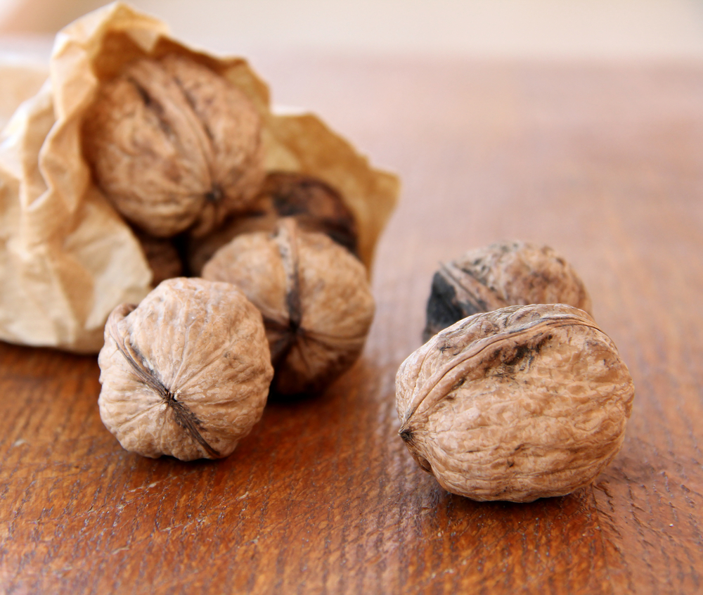 Noci. La frutta secca ti ricarica di energia