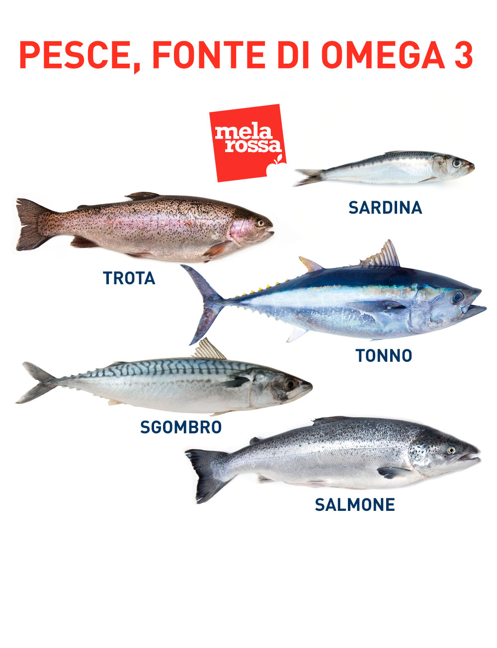Consuma ogni settimana del pesce, fonte di omega 3