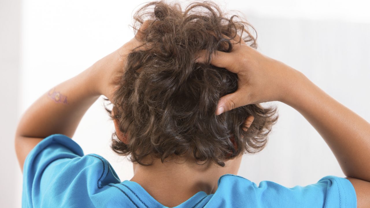 Pidocchi Ecco Come Eliminarli Prevenzione E Rimedi Melarossa