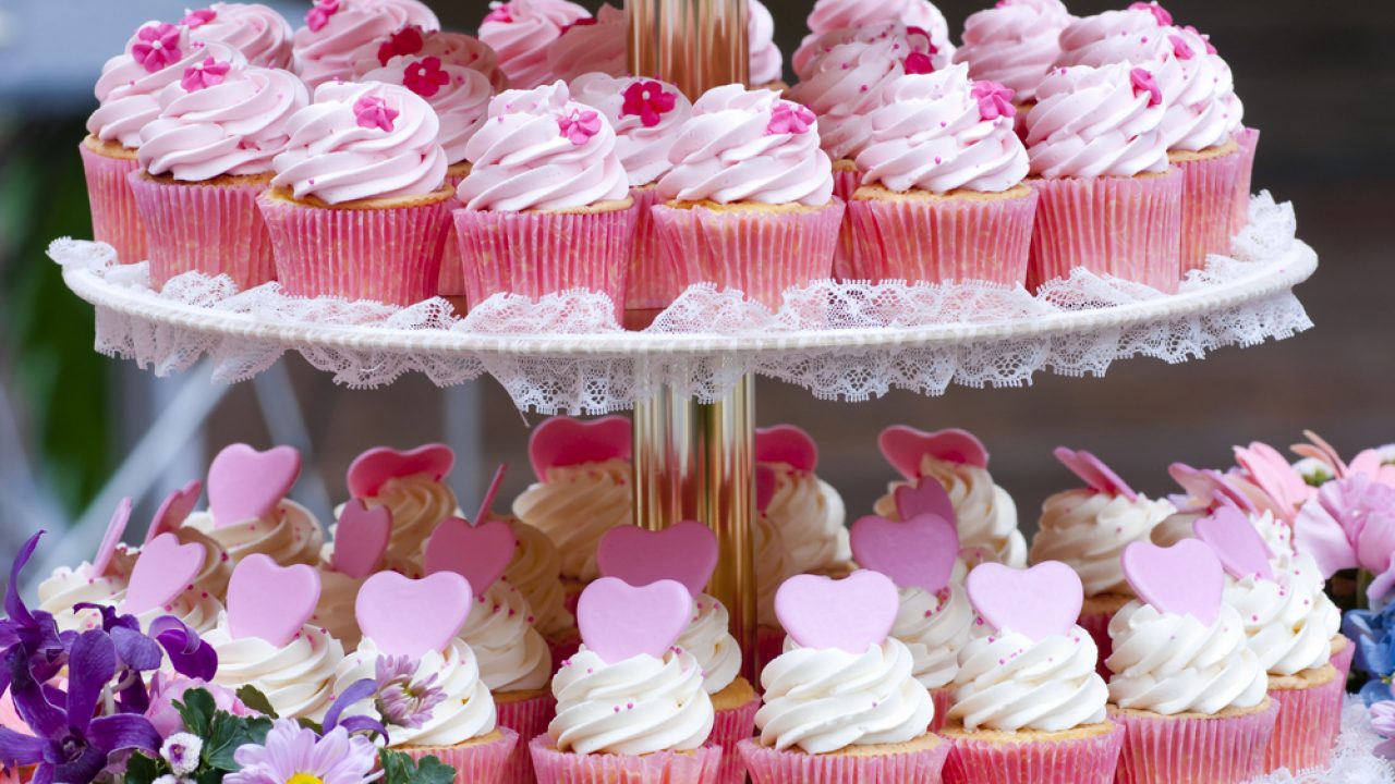 matrimoni muffin e cupcake feste di compleanni e feste per neonati Zoo Fumee Confezione da 24 topper per dessert ideali per picnic motivo con animali 