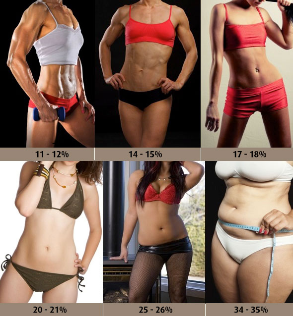 Massa grassa: tabella grasso corporeo donne