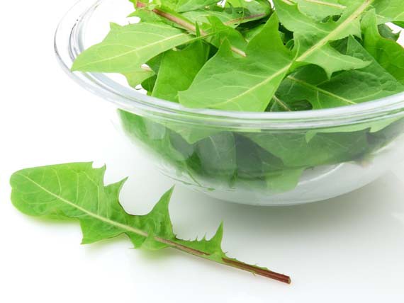 Insalata: i dieci tipi da mangiare senza limiti -Melarossa