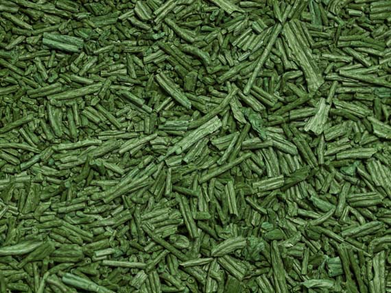 Spirulina. Alghe, alimenti ricchi di salute