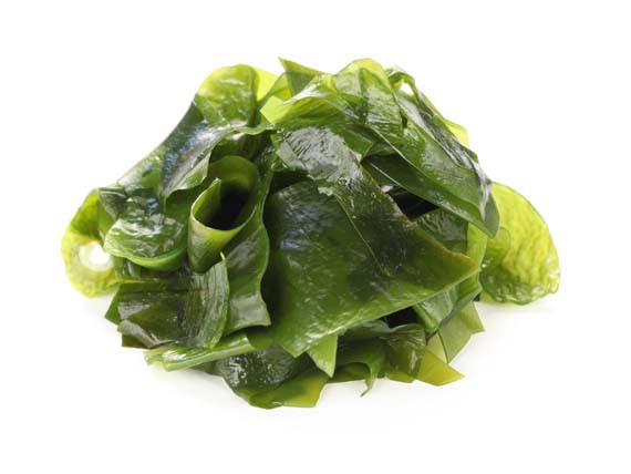 Wakame. Alghe, alimenti ricchi di salute