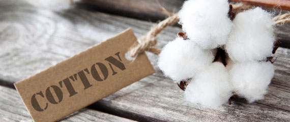 cotone bio