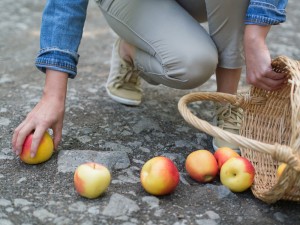 La primavera in tavola con la frutta di Aprile