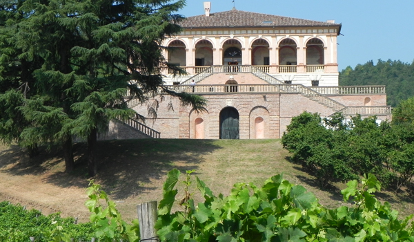 COLLI EUGANEI PRINCIPALE