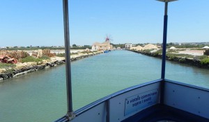 Viaggi e assaggi: Marsala e Mozia