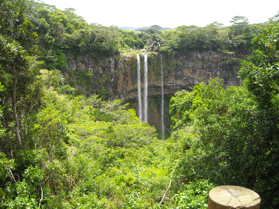 scopri il mare e i cibi del posto delle mauritius