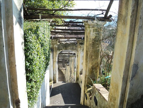 Salerno 9