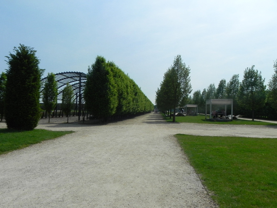 guarda lo spettacolo dei cibi e del luogo della venaria reale