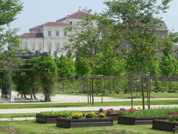 guarda lo spettacolo dei cibi e del luogo della venaria reale