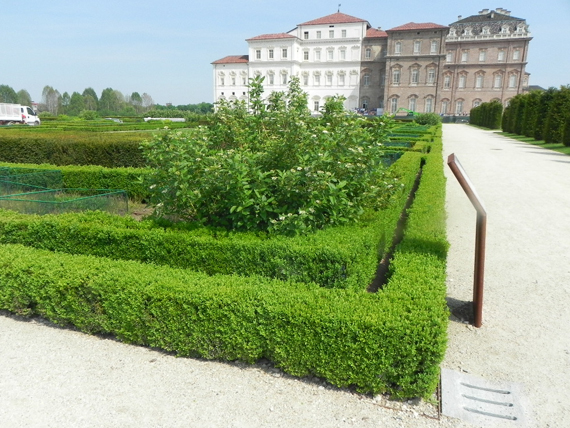 guarda lo spettacolo dei cibi e del luogo della venaria reale