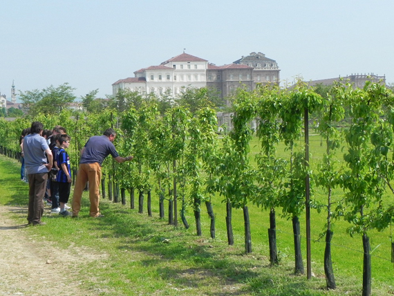 guarda lo spettacolo dei cibi e del luogo della venaria reale