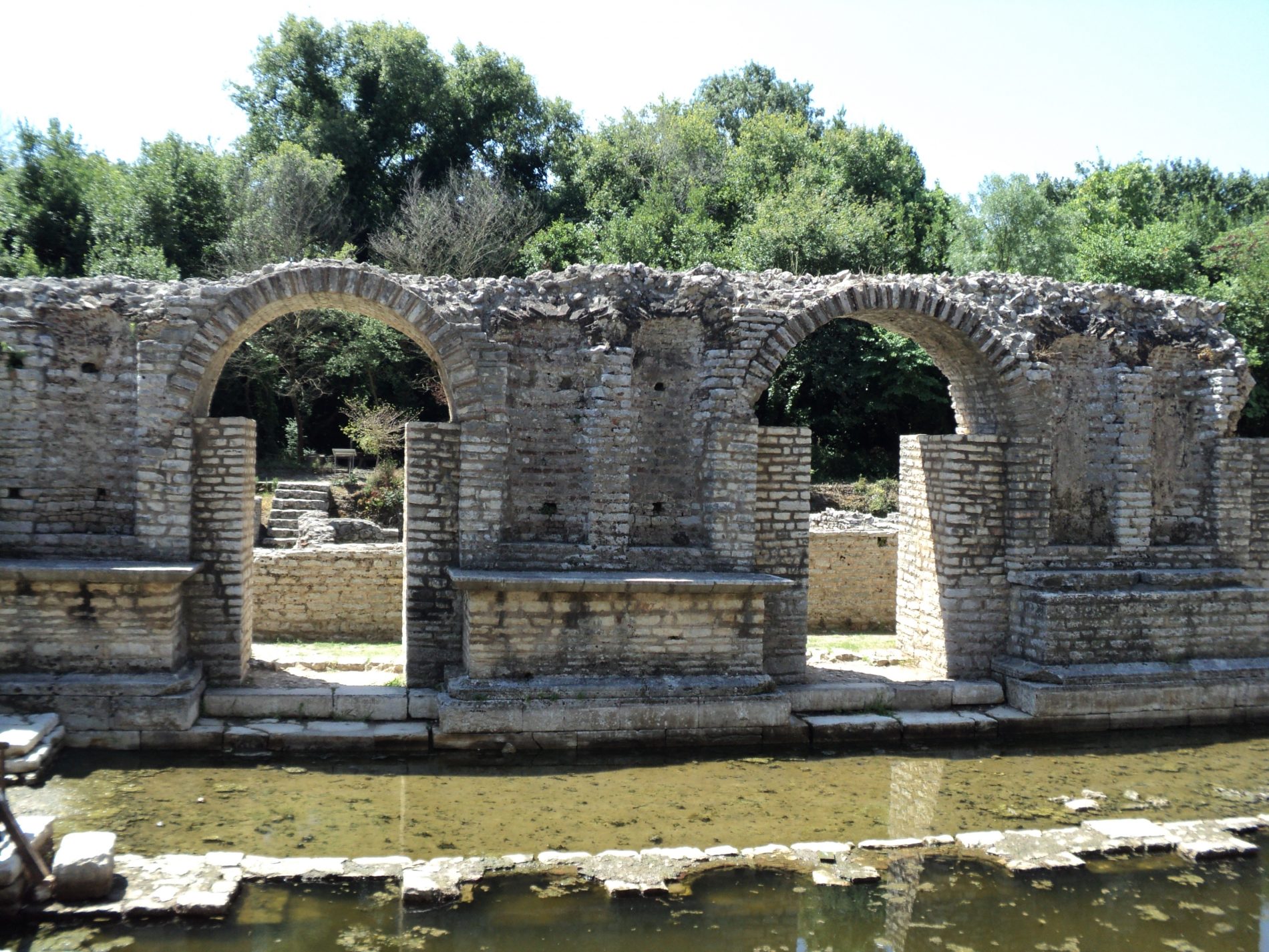 albabia 10