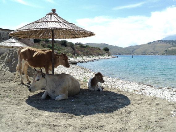 i piatti tipici e la spiaggia dell'Albania