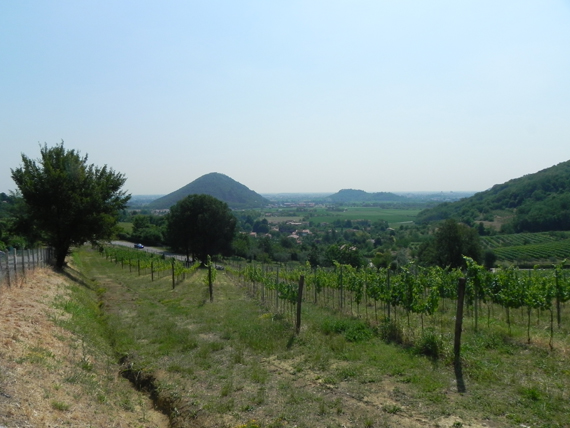 visita i posti e assapora i piatti tipici dei Colli Euganei