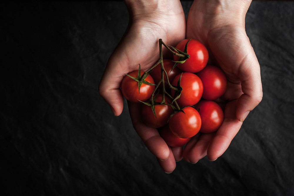 Come coltivare pomodori in casa