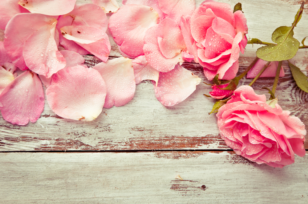 fare il tonico per il viso in casa con petali di rosa
