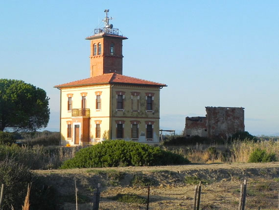 maremma