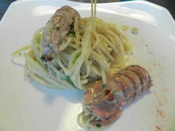 piatti elba 6