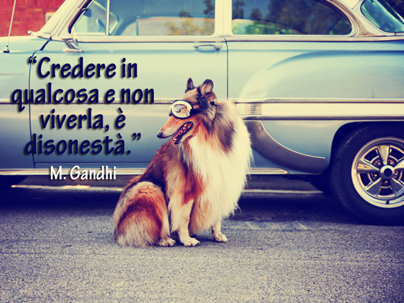 credere in qualcosa e non viverla