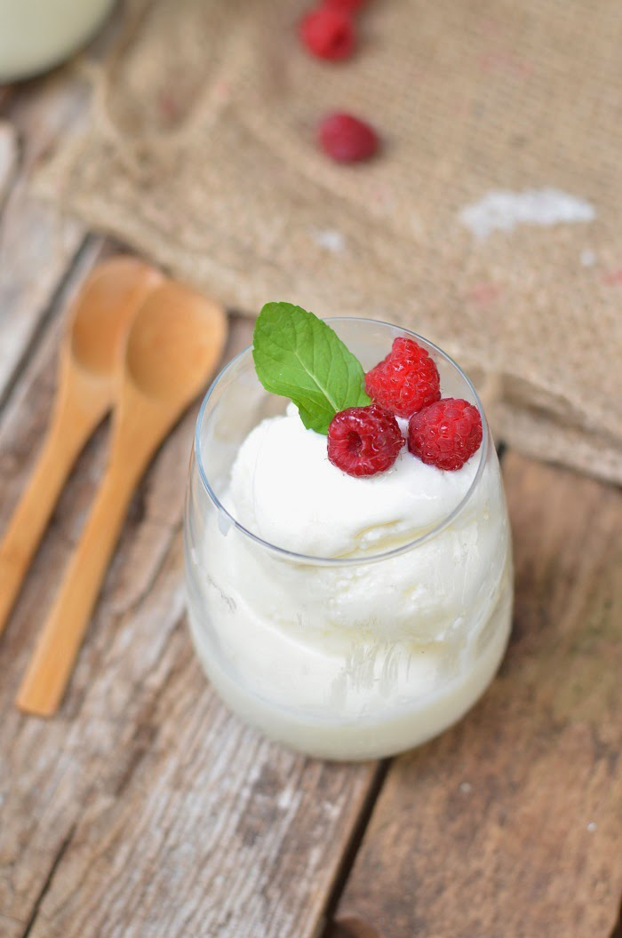 gelato allo yogurt senza gelatiera