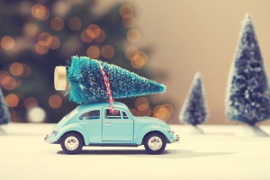 Idee e consigli per scegliere l’Albero di Natale