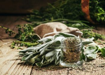 un mazzetto di salvia fresca su un tavolo con accanto un barattolino di salvia secca