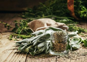 salvia: cos'è, benefici, proprietà e ricette di bellezza e cucina