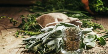 un mazzetto di salvia fresca su un tavolo con accanto un barattolino di salvia secca