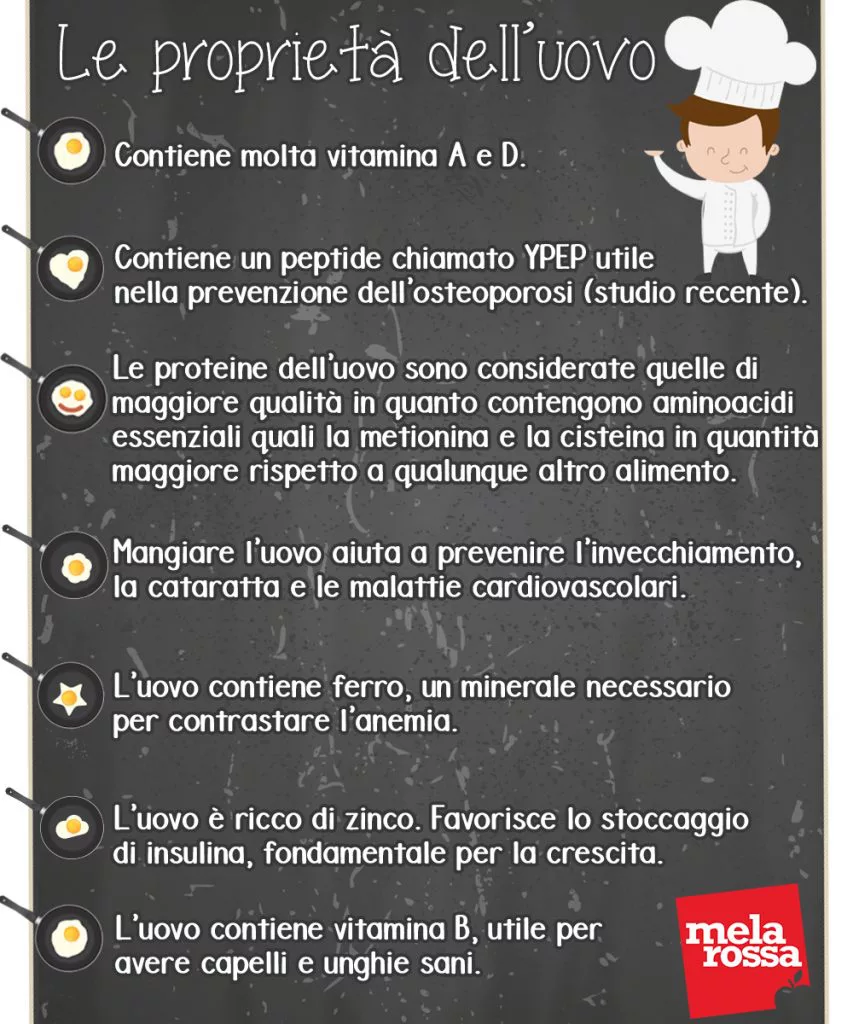 mangiare un uovo sodo al giorno mangiare un uovo sodo al giorno