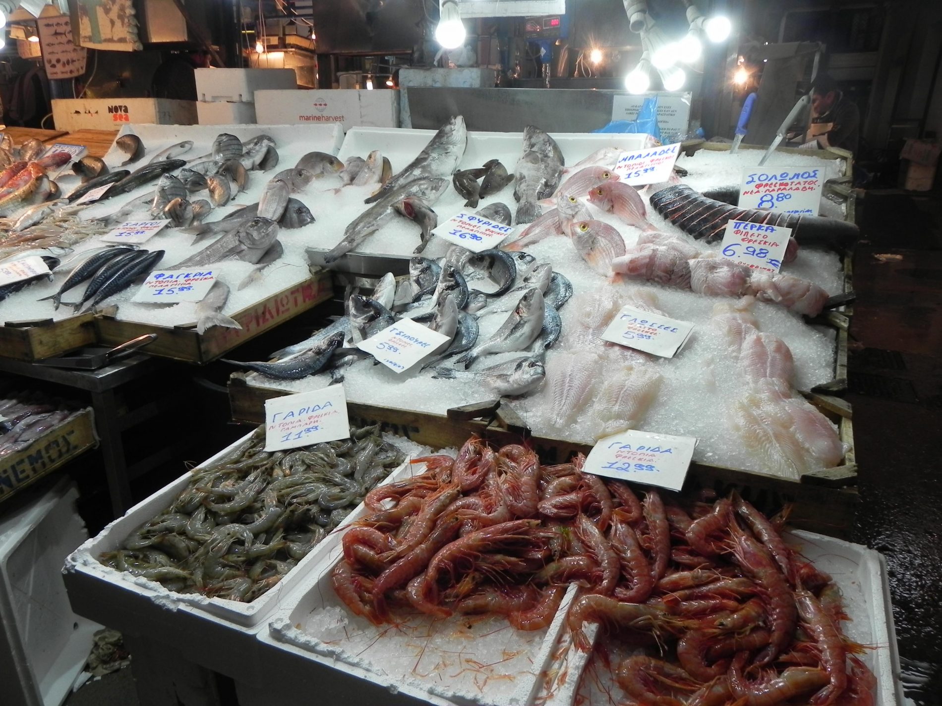 mercato centrale pesce