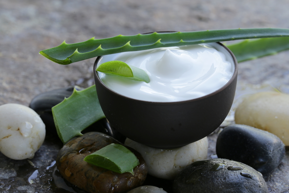 aloe vera: le proprietà curative per la pelle e i capelli