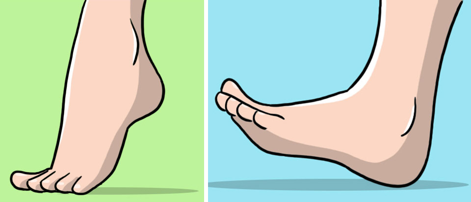esercizio per attivare micro circolazione piedi
