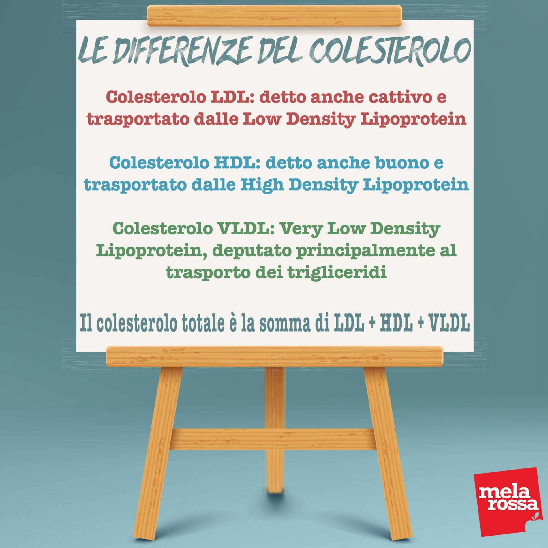 Colesterolo, tutto quello che devi sapere Melarossa