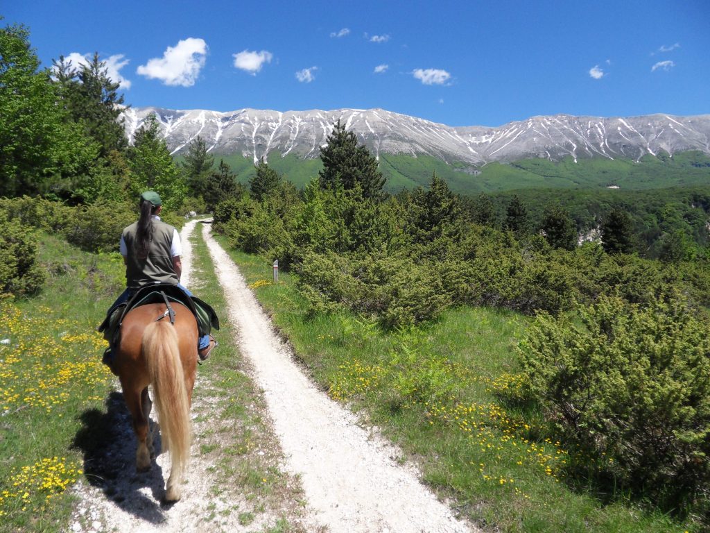 Sport all'aria aperta: equitazione in Abruzzo