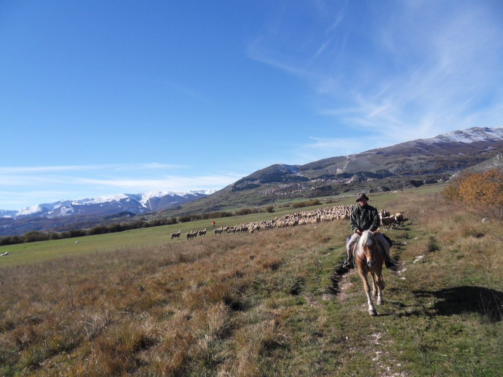 La carne d'agnello abbruzzese