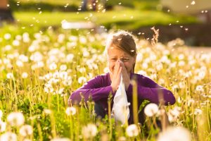 Sopravvivere all’allergia al polline