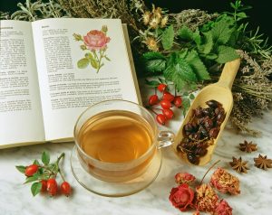 Rosa canina: proprietà, benefici, usi e controindicazioni