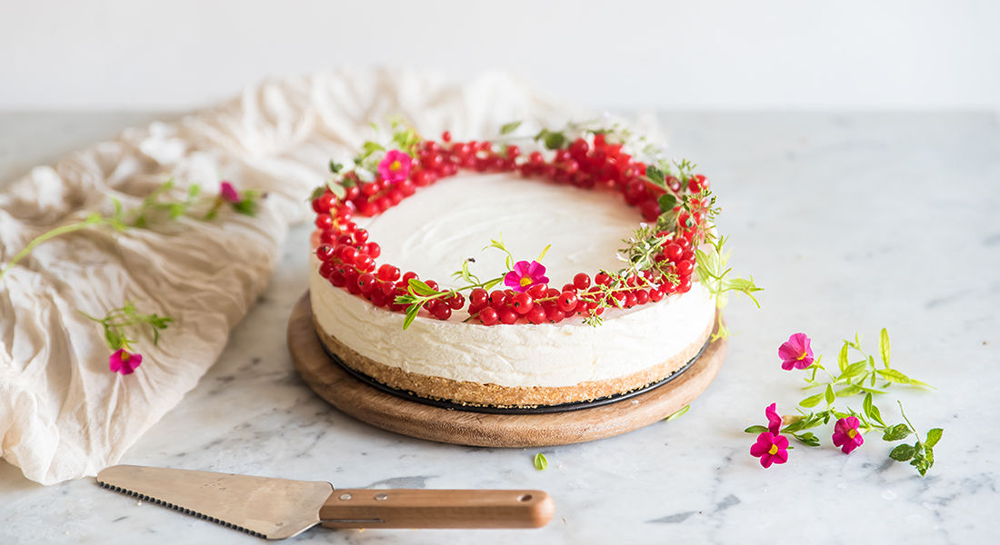 Torte di compleanno: ricette veloci, la cheesecake light