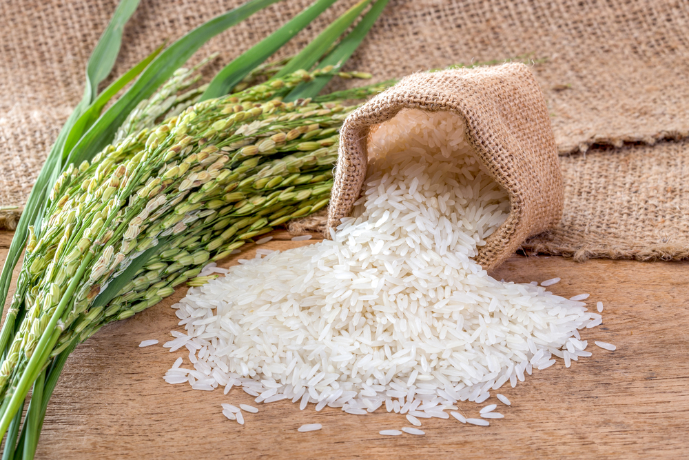 Cibi economici per la dieta: il riso
