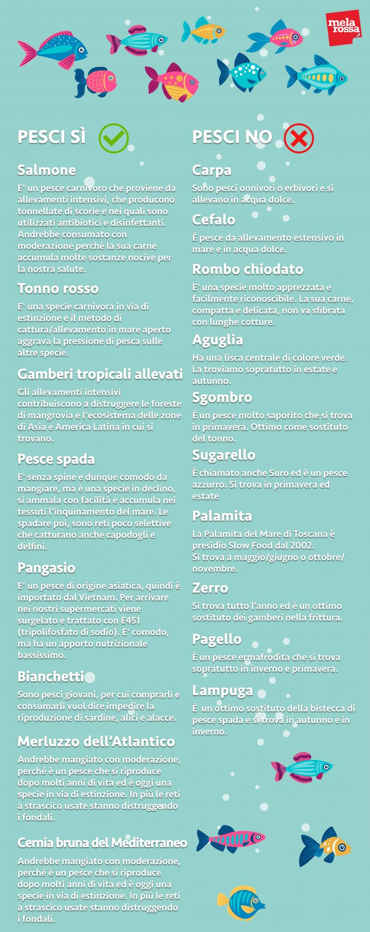 guida all'acquisto del pesce