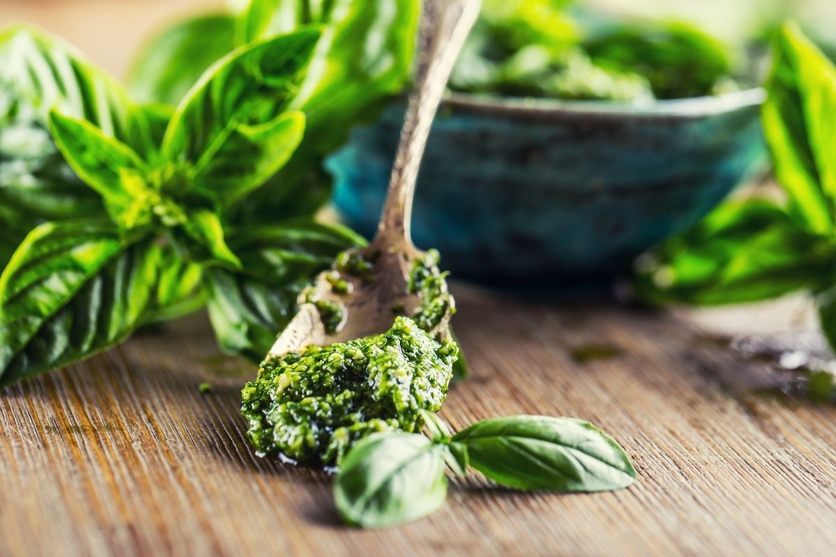 Pesto di basilico light con pinoli