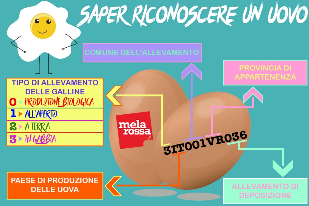 Uova contaminate: impara a leggere l'etichetta