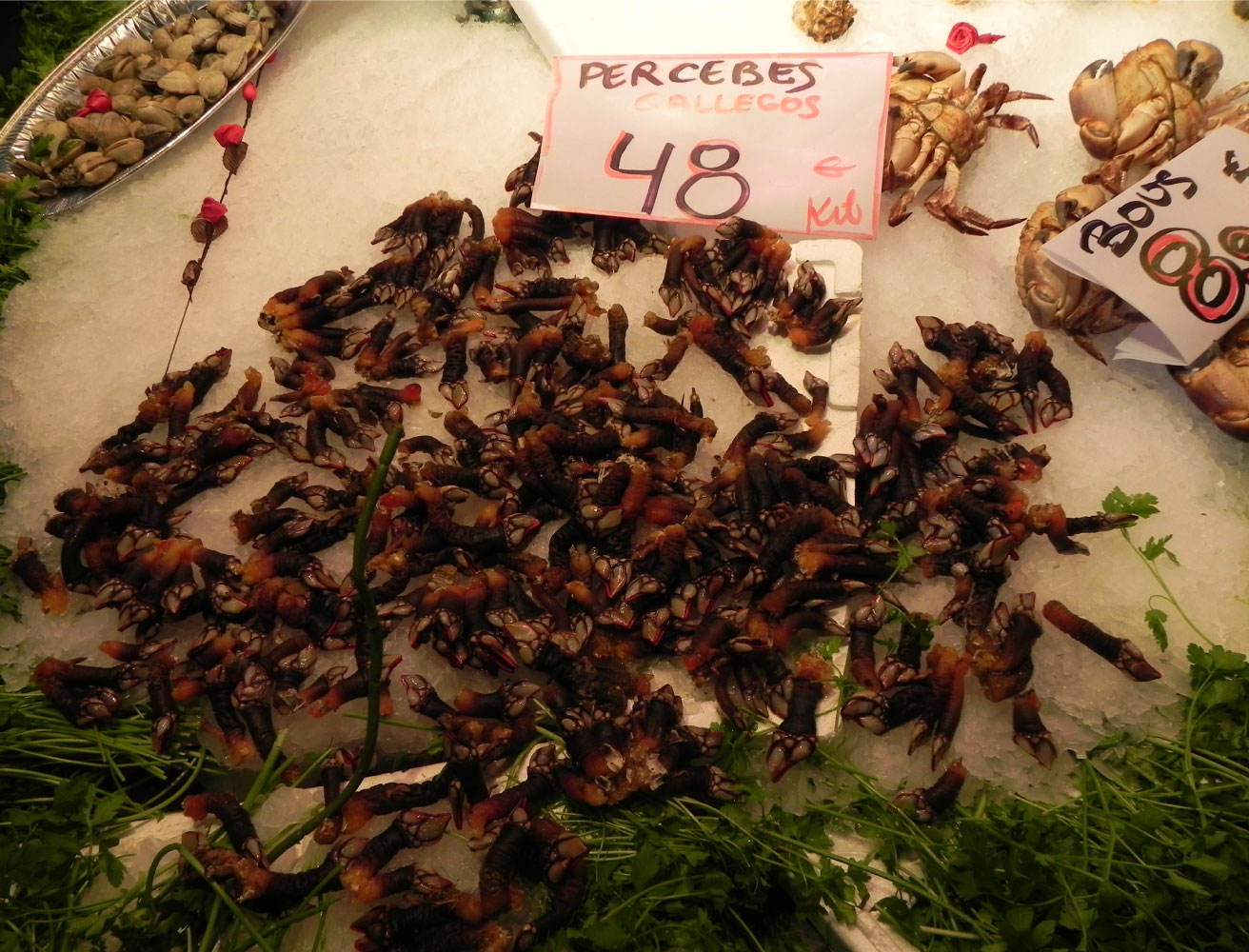 boqueria percebes