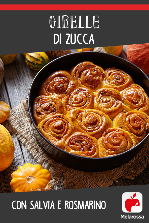 girelle zucca